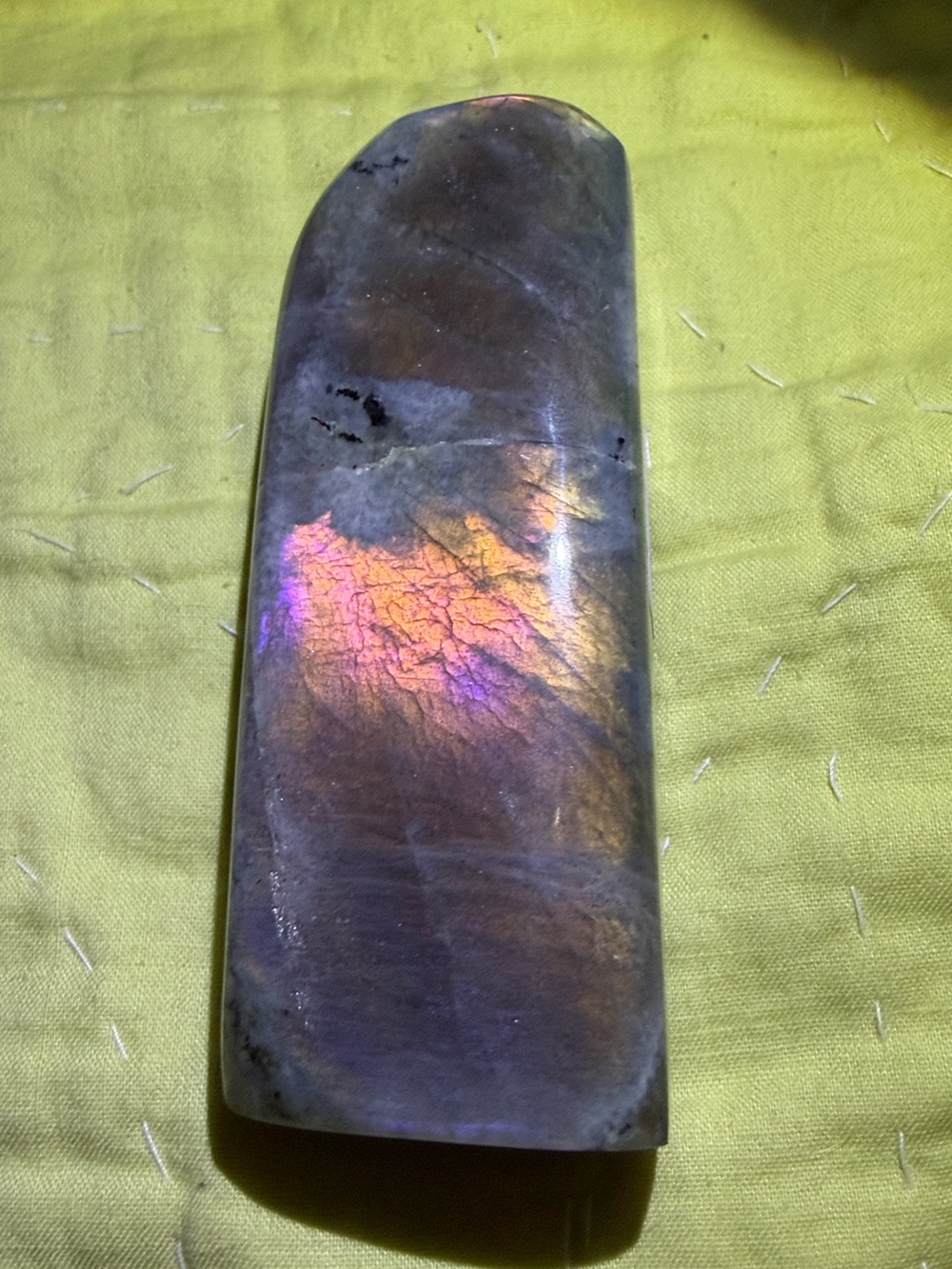 3.89 Inch Sunset Lab - Picture 2 of 3